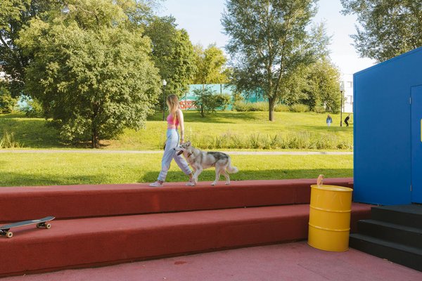 How can UK dog owners prevent common health issues?